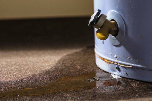 Water damage restoration mold remediation in LA
