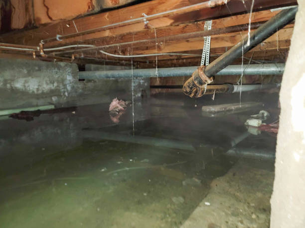 Best Commercial water damage restoration  in Port Sulphur, LA
