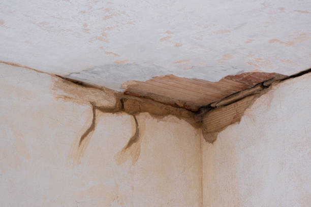 Best Water damage restoration near me  in Port Sulphur, LA
