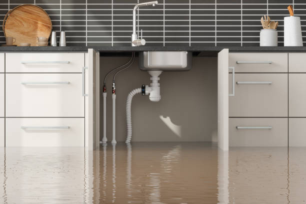 Best Water damage restoration near me  in Port Sulphur, LA