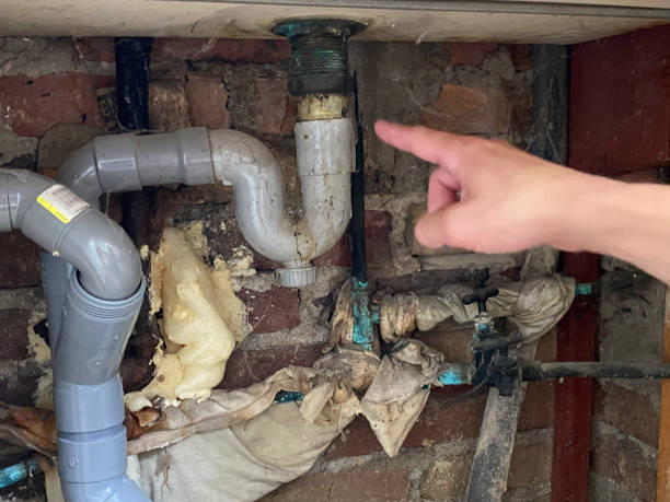 Best Carpet water damage restoration  in Port Sulphur, LA