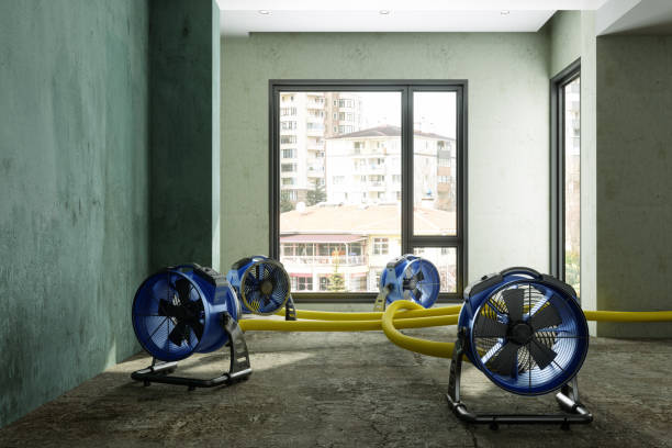 Best Flood restoration services  in Port Sulphur, LA
